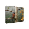 Trademark Fine Art Chris Vest 'Bluebird Rain' Canvas Art, 35x47 WAG03318-C3547GG